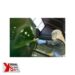 Yorkshire Spray Services Ltd - Wagner Professional Finishing - Wagner Protec GM1 350 & 530 Airless Gun - Action 4
