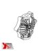 Yorkshire Spray Services Ltd - Wagner Zip52 - Wagner Diaphragm Cover - Conductive Acetal - Part No. F831.07G-A